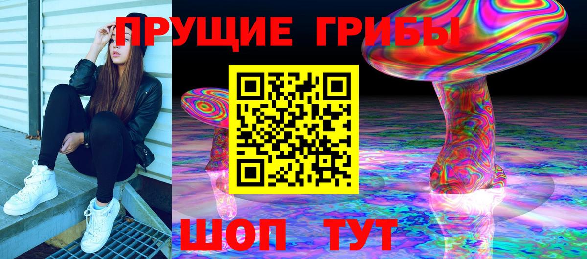 Галлюциногенные грибы прущие грибы  Вход с VPN  Чапаевск 